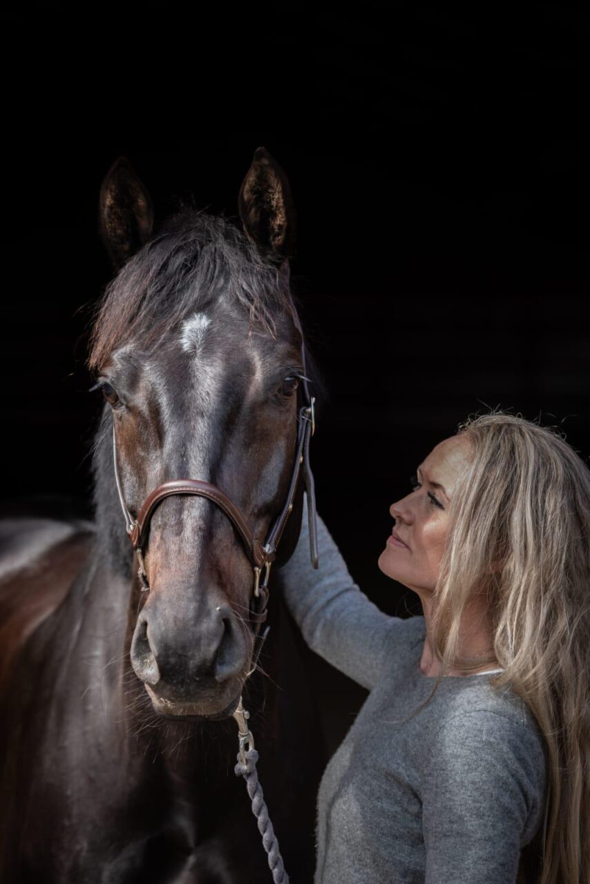 Gode resultater med BEMER for hestene på Elveli Gård